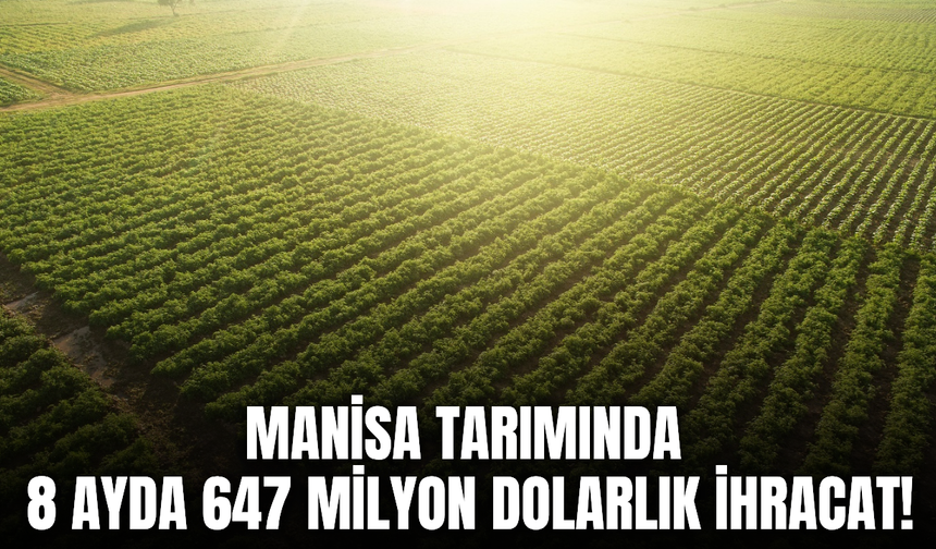 Manisa tarım ihracatında 647 milyon dolara ulaştı