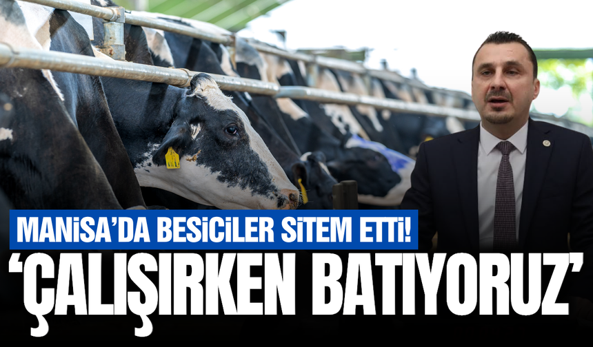 Manisa'da besiciler artan maliyetlerden dert yandı!