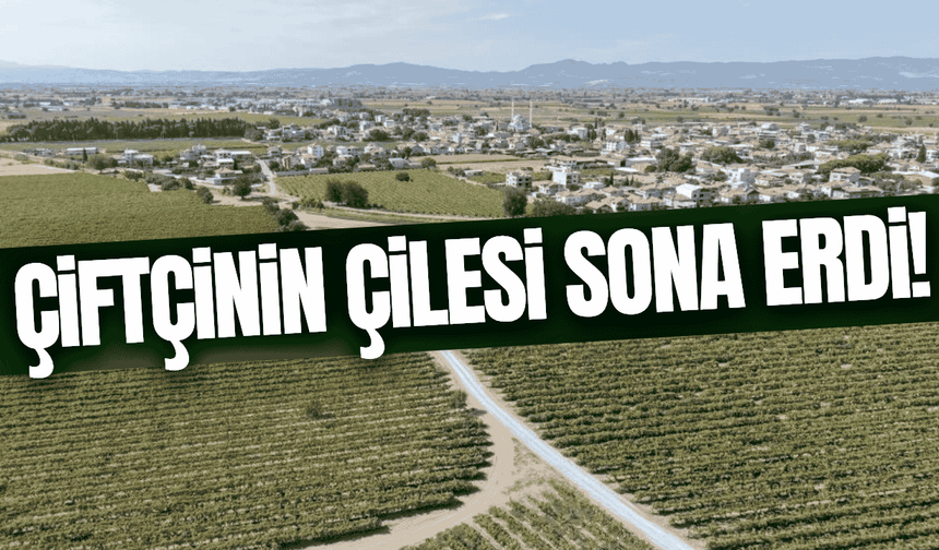 Manisa'da çiftçinin yüzünü güldüren çalışma!
