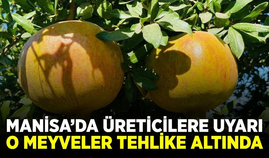 Manisalı üreticilere uyarı: Bahçelerinizi koruyun!