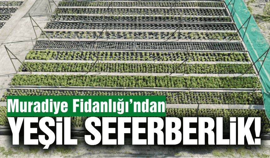 Manisa'da yeşil seferberlik: 120 farklı tür bitki satışta!