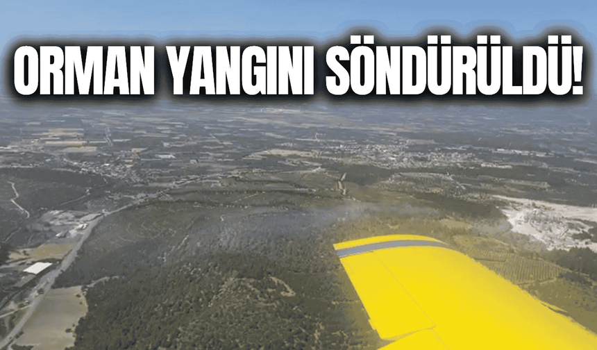 Manisa'daki orman yangını kontrol altına alındı!
