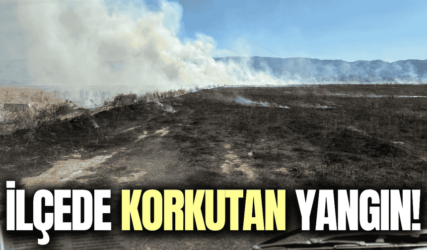 Manisa'nın ilçesinde mera yangını söndürüldü!