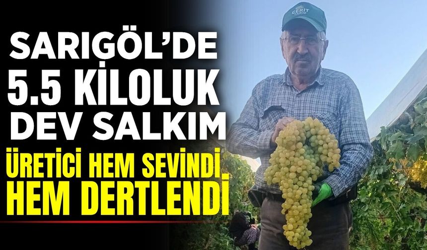 Sarıgöl'de hayrete düşüren manzara: 5.5 Kiloluk üzüm salkımı