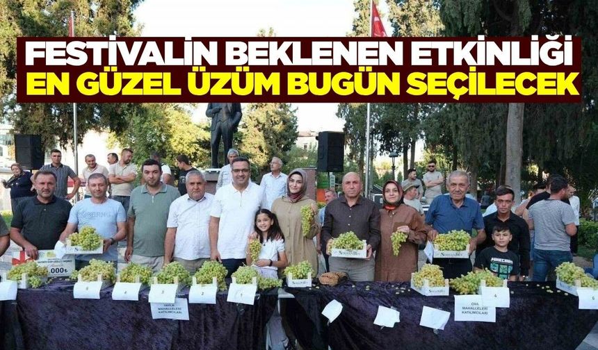 Sarıgöl’de Festival Heyecanı Zirveye Çıkıyor: Yarışmalar ve Muhteşem Konser