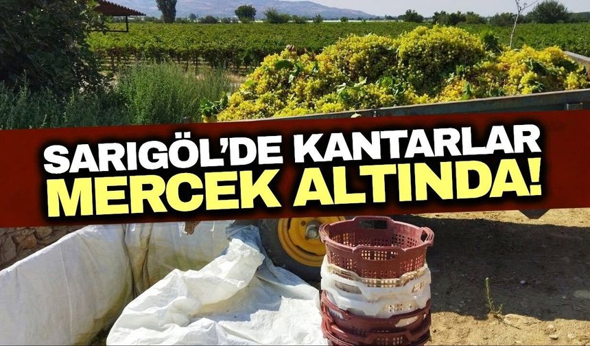 Sarıgöl’de Ruhsatsız ve Kaçak Kantarlar İçin Denetim