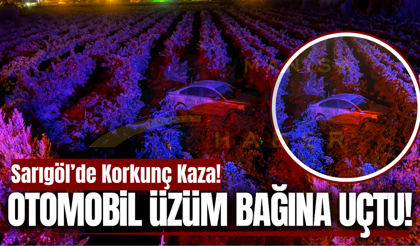 Sarıgöl'de kontrolden çıkan otomobil üzüm bağına uçtu!