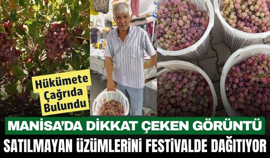 Sarıgöllü üretici satamadığı 1 ton üzümünü festivalde dağıtıyor