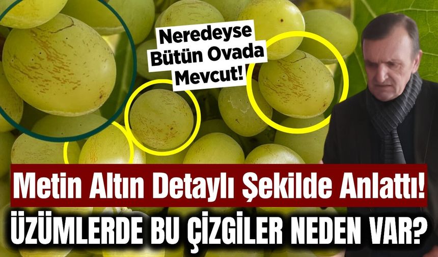 Sarıgöllü üzümcüler ne olduğunu ve neden olduğunu merak ediyordu! Altın yanıtladı