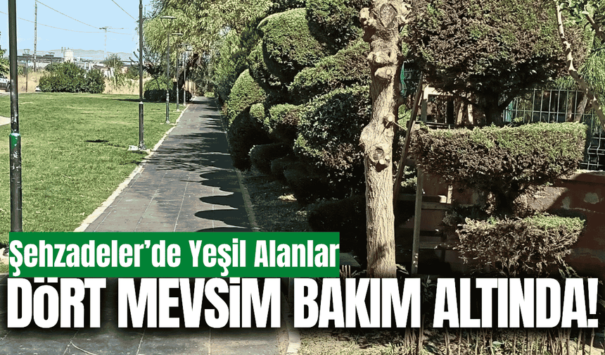 Şehzadeler'de yeşil alanlara düzenli bakım!