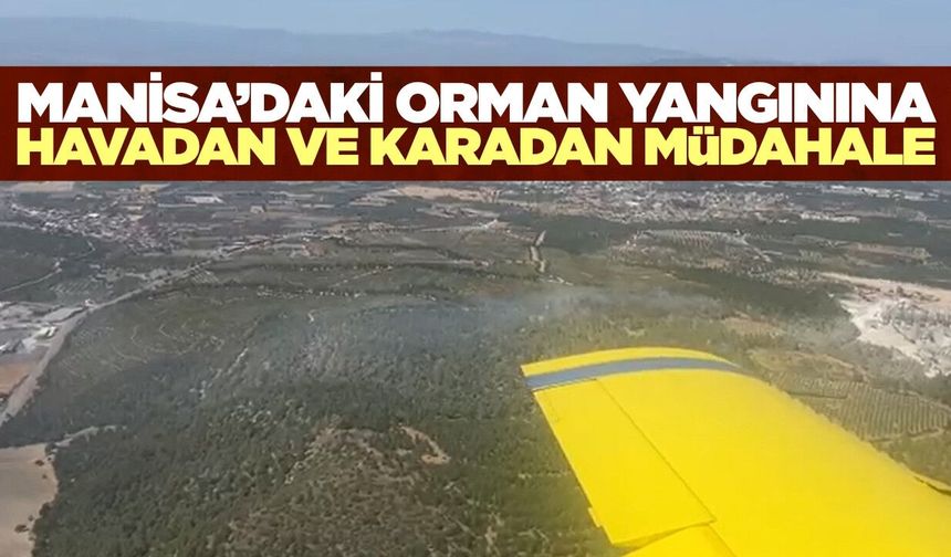 Manisa'da orman yangını: Havadan ve karadan müdahale sürüyor