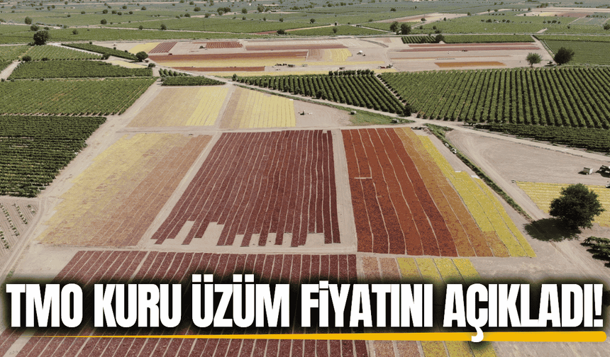 TMO kuru üzüm alım fiyatını açıkladı