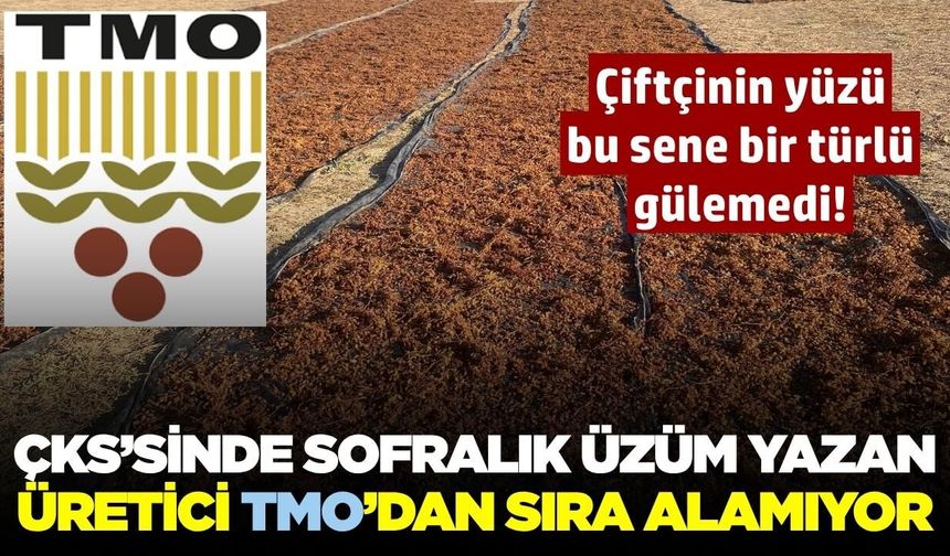 TMO randevu sistemi üzüm üreticilerini mağdur etti: 'Sofralık' yazana randevu yok!