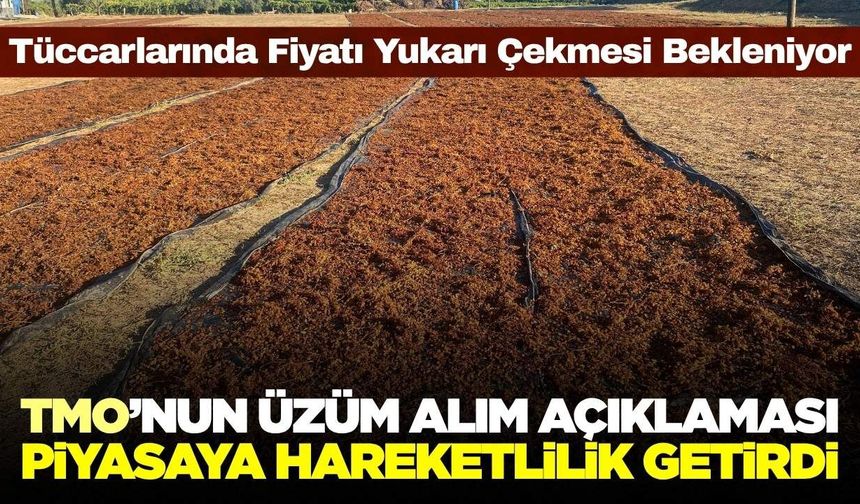 TMO'nun açıklaması üzüm piyasasını hareketlendirdi! Gözler tüccarlarda