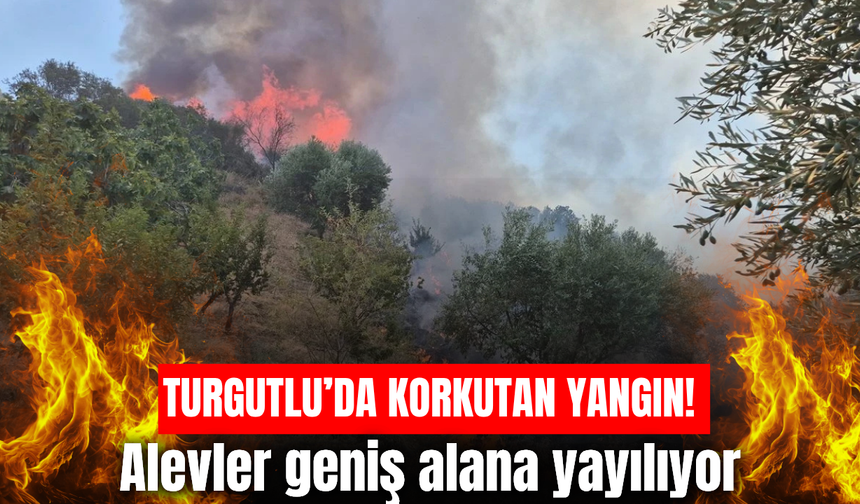 Turgutlu’da orman yangını! Alevler rüzgarın etkisiyle büyüyor