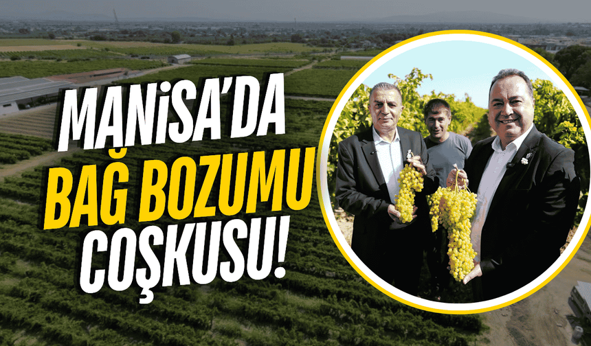 Üzümün başkenti Manisa'da  Bağ Bozumu Şenlikleri başladı