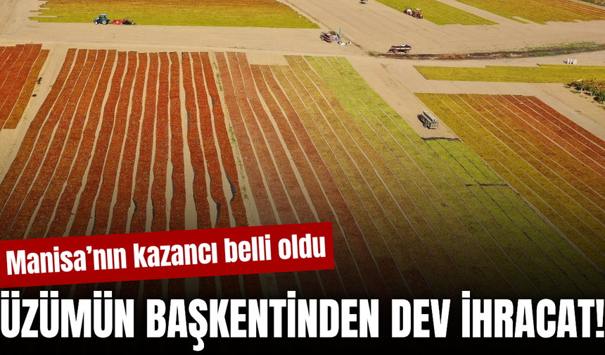 Manisa’nın kuru üzümünde ihracat sezonu sona erdi! Rakamlar belli oldu