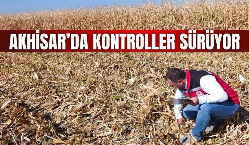 Akhisar’da Mısır ve Pamuk Hasadında Saha Kontrolleri Sürüyor