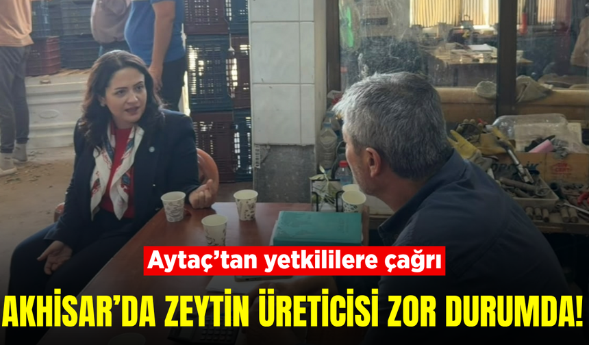 Aytaç’tan Akhisar’da zeytin üreticisi için destek çağrısı