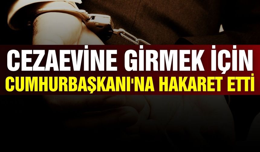 Cezaevine girmek için Cumhurbaşkanı'na hakaret etti