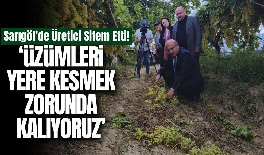 İYİ Parti heyeti Sarıgöl'de üzüm üreticilerinin sorunlarını dinledi!