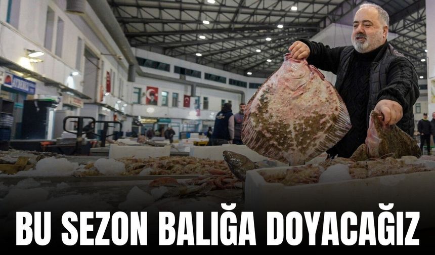 İzmir’de balık bereketi: Palamut tezgahların yıldızı oldu