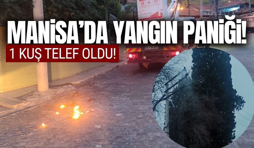 Manisa'da yangın paniği!