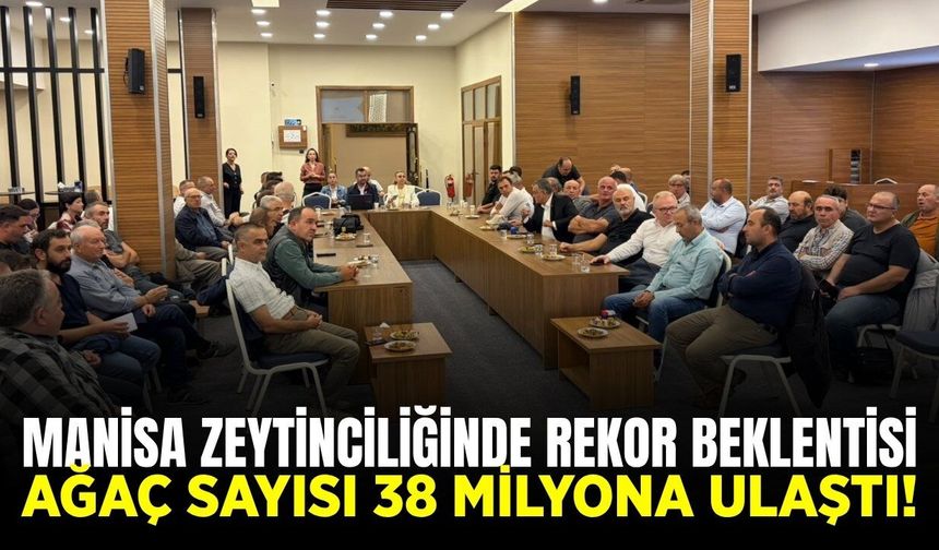 Manisa zeytinciliğinde rekor yılı: Hedef küresel rekabet!