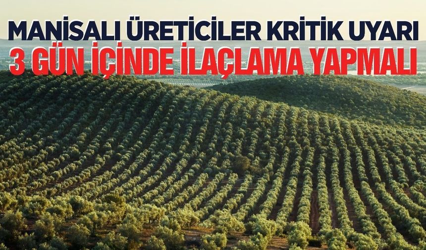 Manisa'da üreticilere uyarı: 3 gün içinde ilaçlama yapılmalı