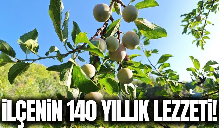 Manisa'nın eşsiz lezzeti: Güneşte kurutuluyor, 12 ay tüketiliyor!