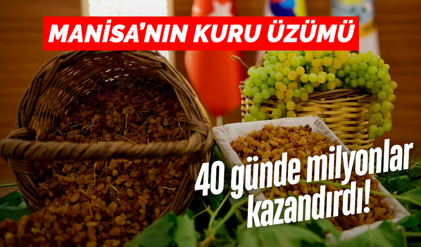 Manisa’nın kuru üzümü dünyaya açıldı! 40 günde 68,3 milyon dolar