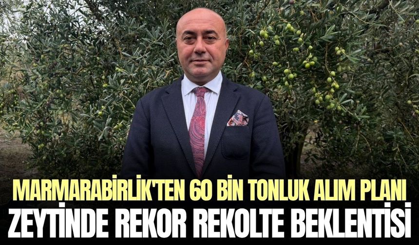 Zeytinde rekor beklentisi, tağşişe ağır ceza talebi