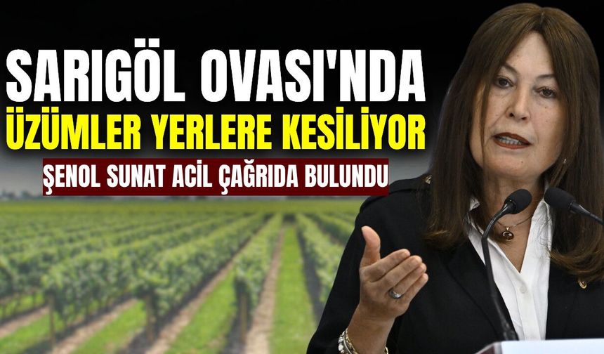 Şenol Sunat'tan Sarıgöl çıkışı: "Üretici bağlarını söküyor"