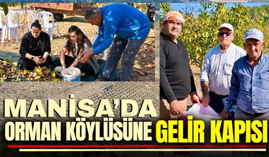 Manisa'da orman köylüsünün yüzü gülüyor!