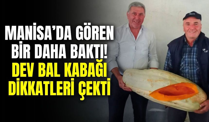 Sarıgöl Cuma Pazarı’nda Dev Bal Kabağı İlgi Odağı Oldu