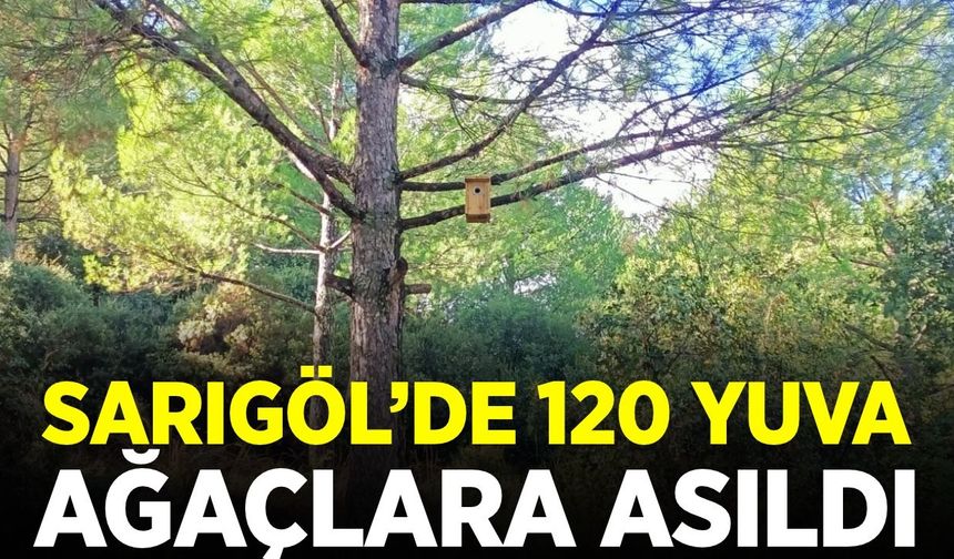 Sarıgöl'de kuşlara sıcak yuva!