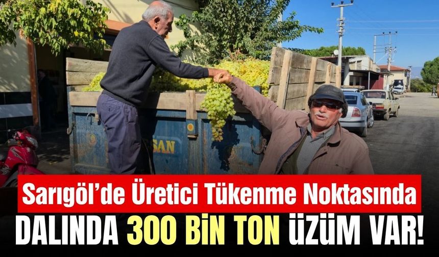 Sarıgöl’de üzüm üreticisinin çağrısı: “Fabrikalar açılsın, borçlar ertelensin”
