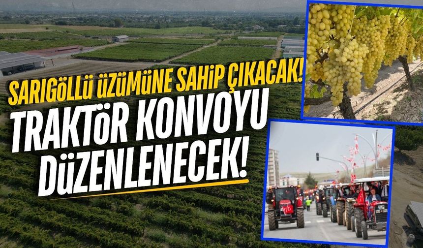 İYİ Parti Sarıgöl'de üzüm üreticileri için buluşacak!