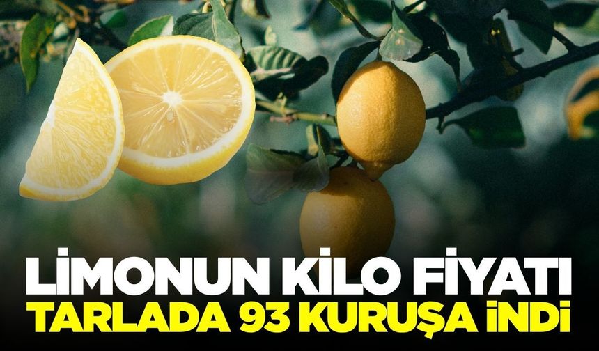 Üreticinin batış yılı: Limon dalında 93 kuruş!