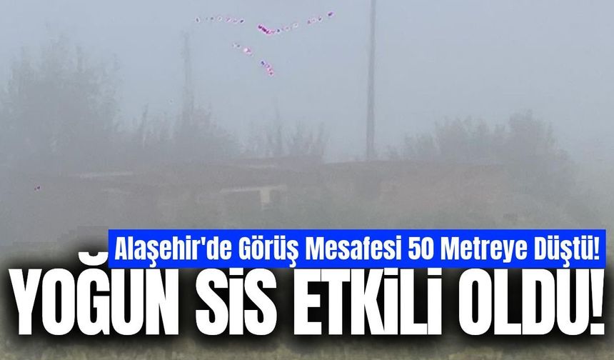 Alaşehir'de sis etkili oldu!