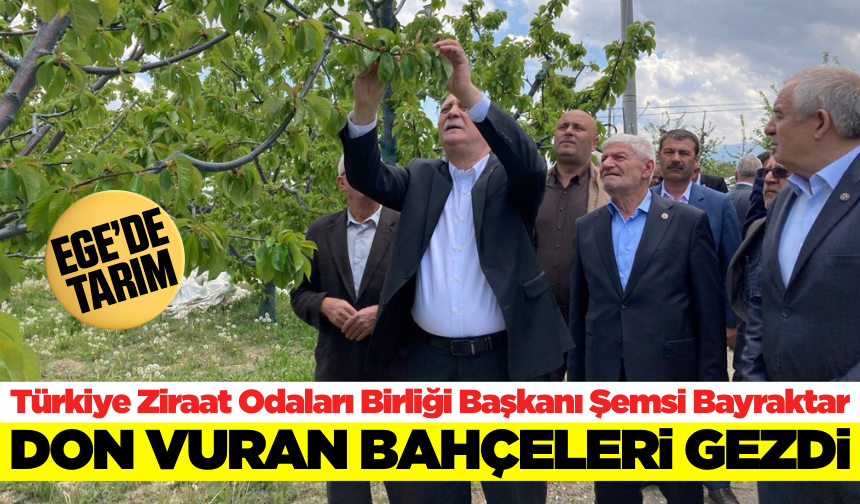 Başkan Bayraktar: ''Don olayı maalesef ürünlerimizi ve üreticimizi perişan etti''