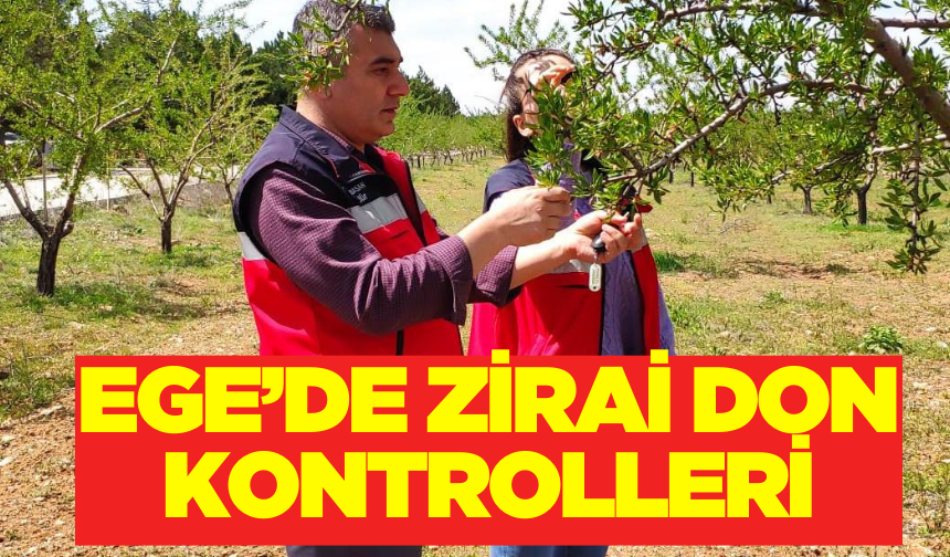 Ege'de Zirai Don Tehlikesine Karşı Arazilerde Denetimler Başladı