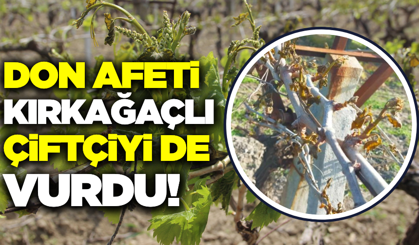 Kırkağaç'ta 59 çiftçiye ait 340 dekarlık arazi zarar gördü!