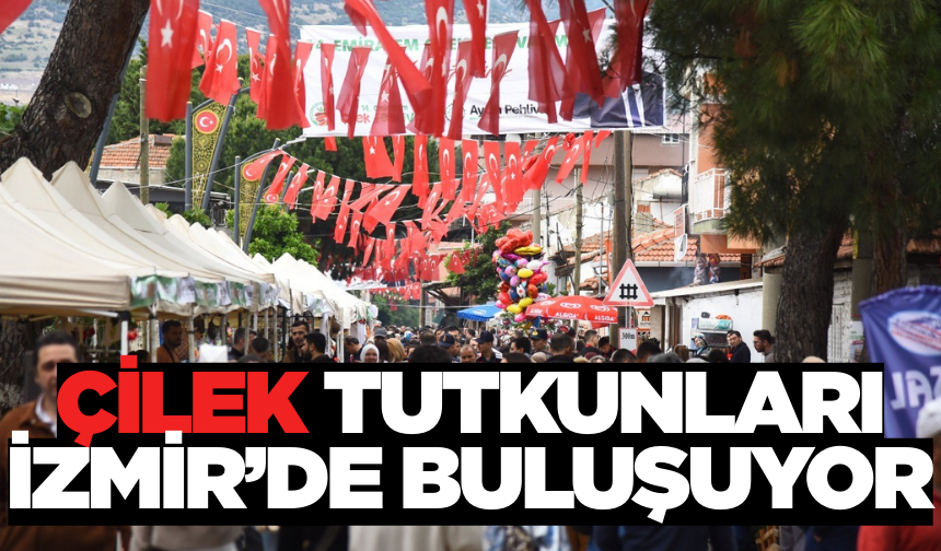 İzmir'de Emiralem Çilek Festivali Heyecanı Başlıyor