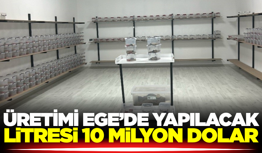 Ege'de kurulan tesis büyük öneme sahip olacak