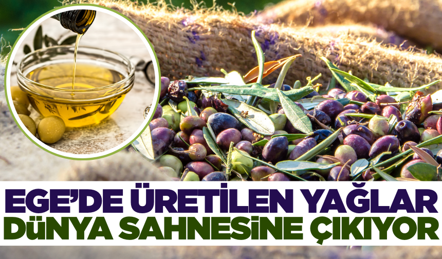 Ege'de üretilen zeytinyağları dünya piyasasına açılıyor