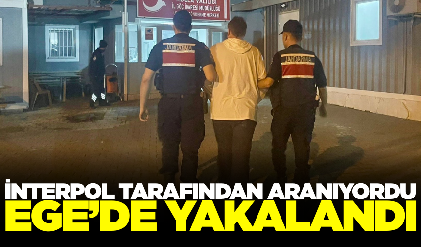 İnterpol tarafından aranan şüpheli Ege'de yakalandı