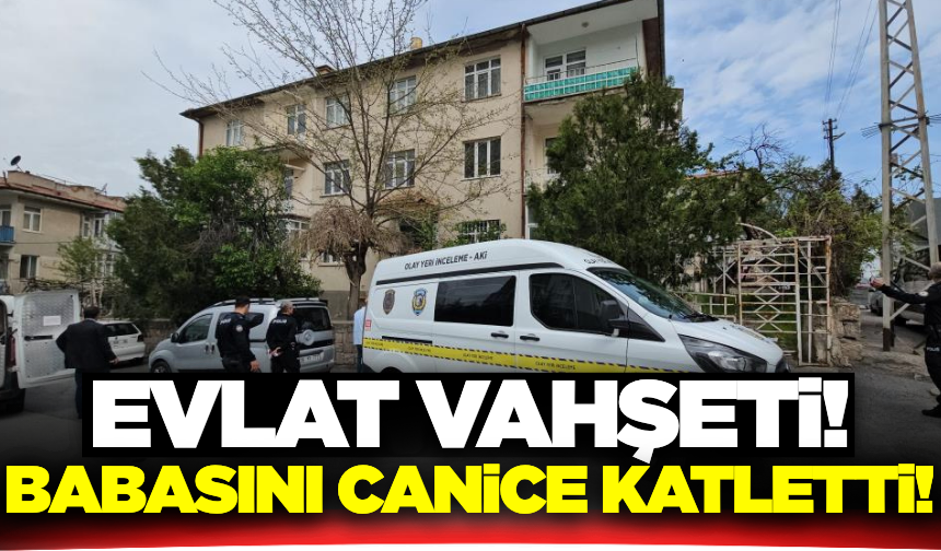 Kan donduran cinayet: Tartıştığı babasının katili oldu!