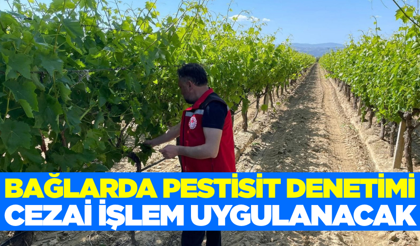Sarıgöl'de bağlarda denetimler hız kesmiyor