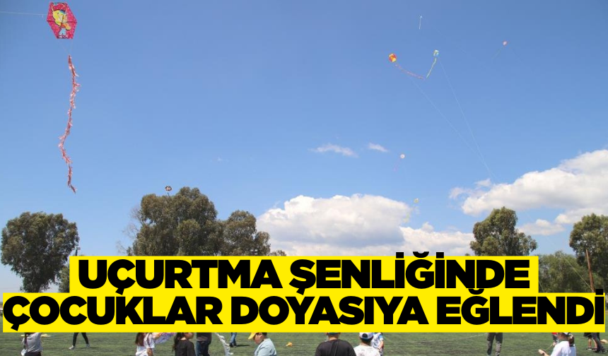 Aydın'da uçurtma şenliği renkli görüntülere sahne oldu